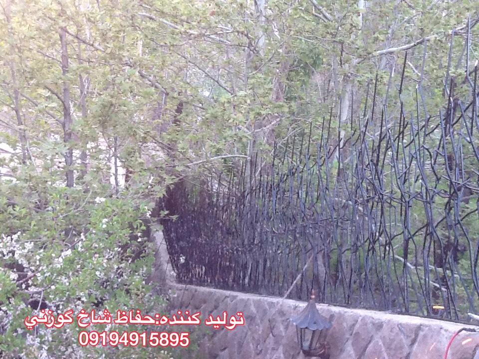 حفاظ شاخ گوزنی